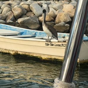 Meet your Posher, Ja